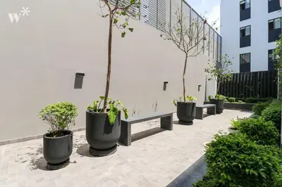 a row of potted trees and a bench in a courtyard at Actual by Wynwood House in Lima
