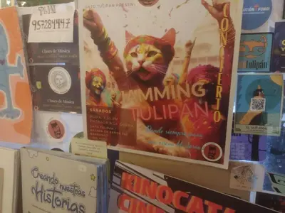 a poster of a cat on a wall at flying monkey hostel in Nazca