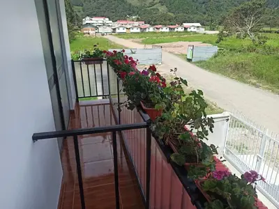 a balcony with geranium plants on a fence with a view at Hermosa y espléndida casa en Oxapampa in Oxapampa
