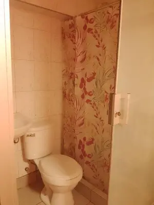 a bathroom with a toilet and a shower curtain at hostal ollantaytambo apartments in Ollantaytambo