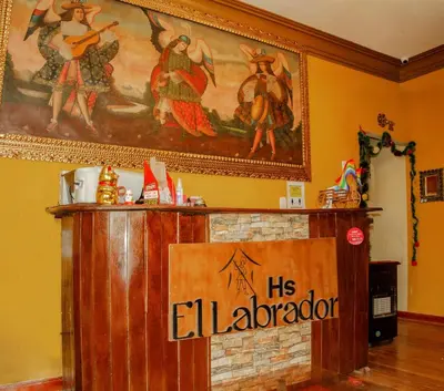 a fireplace in a room with a painting on the wall at CASA HOSPEDAJE EL LABRADOR in Cusco