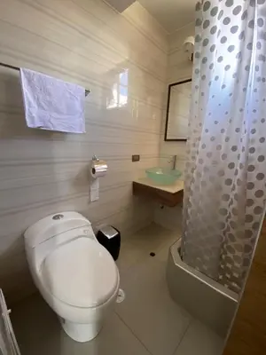 a bathroom with a toilet and a sink and a shower at EL GRAN SEÑORIAL in Jauja